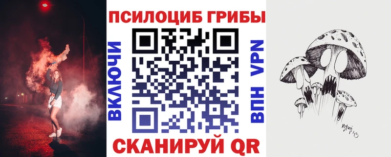 Псилоцибиновые грибы GOLDEN TEACHER  купить наркоту  Агидель 